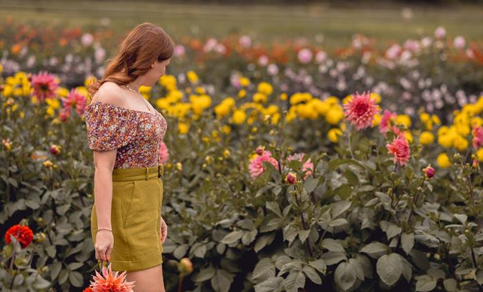 Picking_Dahlias_Cowbridge